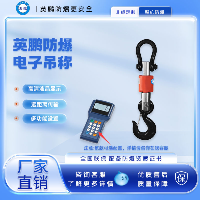 英鹏防爆防水吊称-EXBZ-900/DF1T
