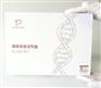 Pneumonia Virus of Mice RT-PCR