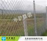 出口热镀锌勾花网 欧洲牧场围栏网 包塑铁丝网