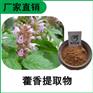 森冉生物 藿香提取物 大叶薄荷提取物 全速溶原料粉