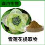 森冉生物 雪莲花提取物 大苞雪莲提取物 比例提取原料粉