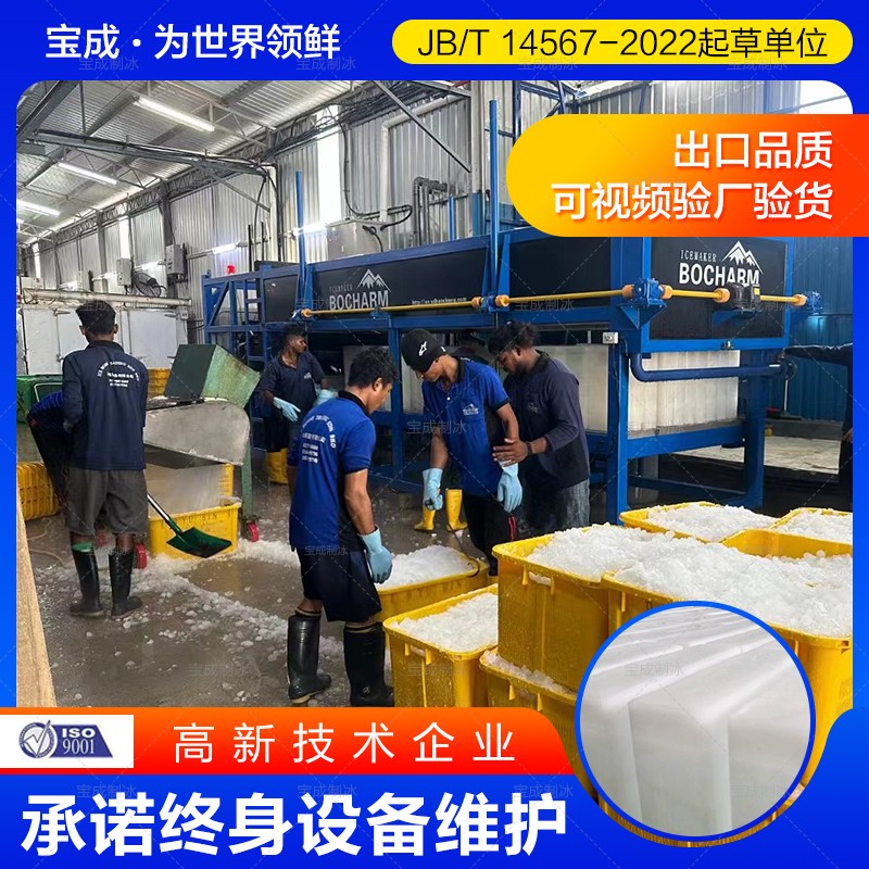 宝成 日产10吨 20吨 30吨 50吨 直冷式制冰机 块冰