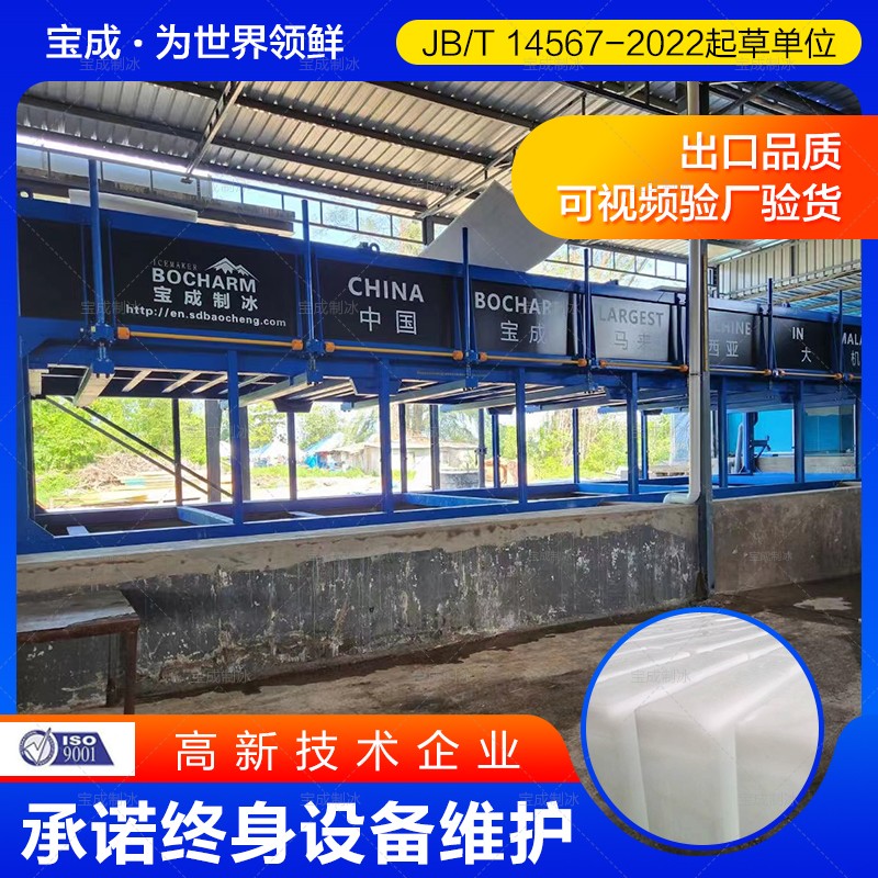 宝成 工业用大型制冰机 直冷式块冰机 冰块机 生产基地
