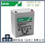 Lcuas蓄电池LSLA2.9-12机房UPS直流屏储能用