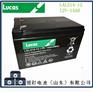 LUCAS蓄电池LSLA14-12小型应急储能UPS用蓄电池