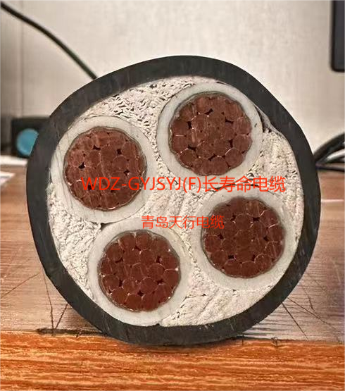 潍坊WDZ-GYJSYJ(F)-GYJS(F)高寿命电线电缆  高寿命电缆  长寿命电缆线