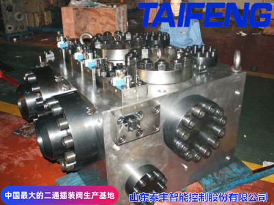 泰丰插装阀 YN32-100FBCV型插装阀厂家专业供应