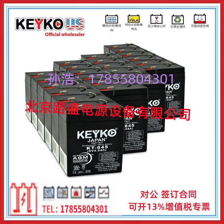德国KEYKO蓄电池12V200Ah免维护现货