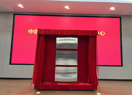 项目启动仪式道具 电动揭牌启动台  启动道具  道具出租