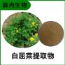 森冉生物 白屈菜提取物 山黄连提取物 比例提取原料粉