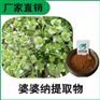 森冉生物 双铜锤提取物 比例提取原料粉