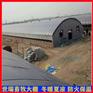 养牛大棚施工规划 牛棚建造材料 牛舍大棚安装厂家