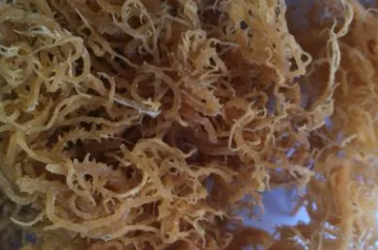 进口麒麟菜需要哪些单证？  进口麒麟菜清关  怎样进口麒麟菜  代理报关清关