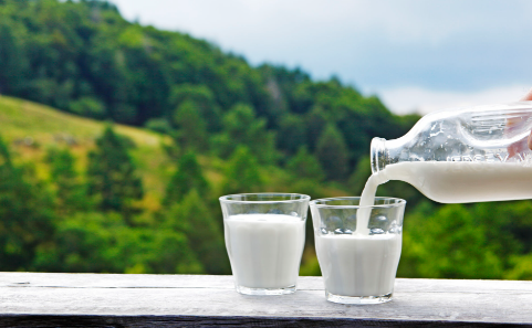 进口牛奶（乳）奶品清关流程  进口牛奶清关  怎样进口牛奶  代理报关清关