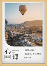 国盛伟兴心理挂图  心理咨询室  心理设备