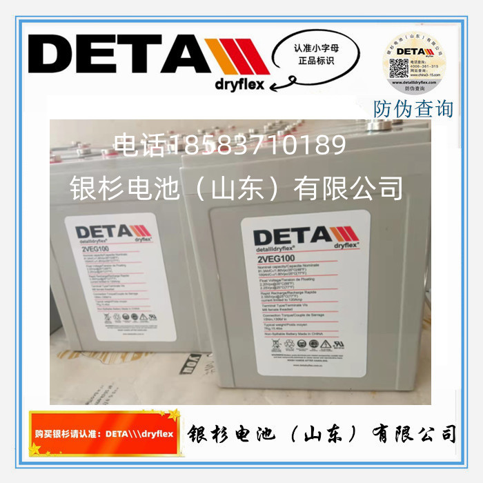 银杉蓄电池2VEG100 2V100AH阀控密封UPS直流屏
