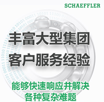 FAG安装工具泵PUMP1000-4L-CONTROL  FAG轴承装、拆工具