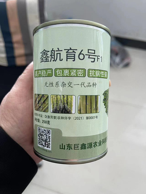 航天系列鑫航育6号杂交一代芦笋种子  芦笋种子厂家