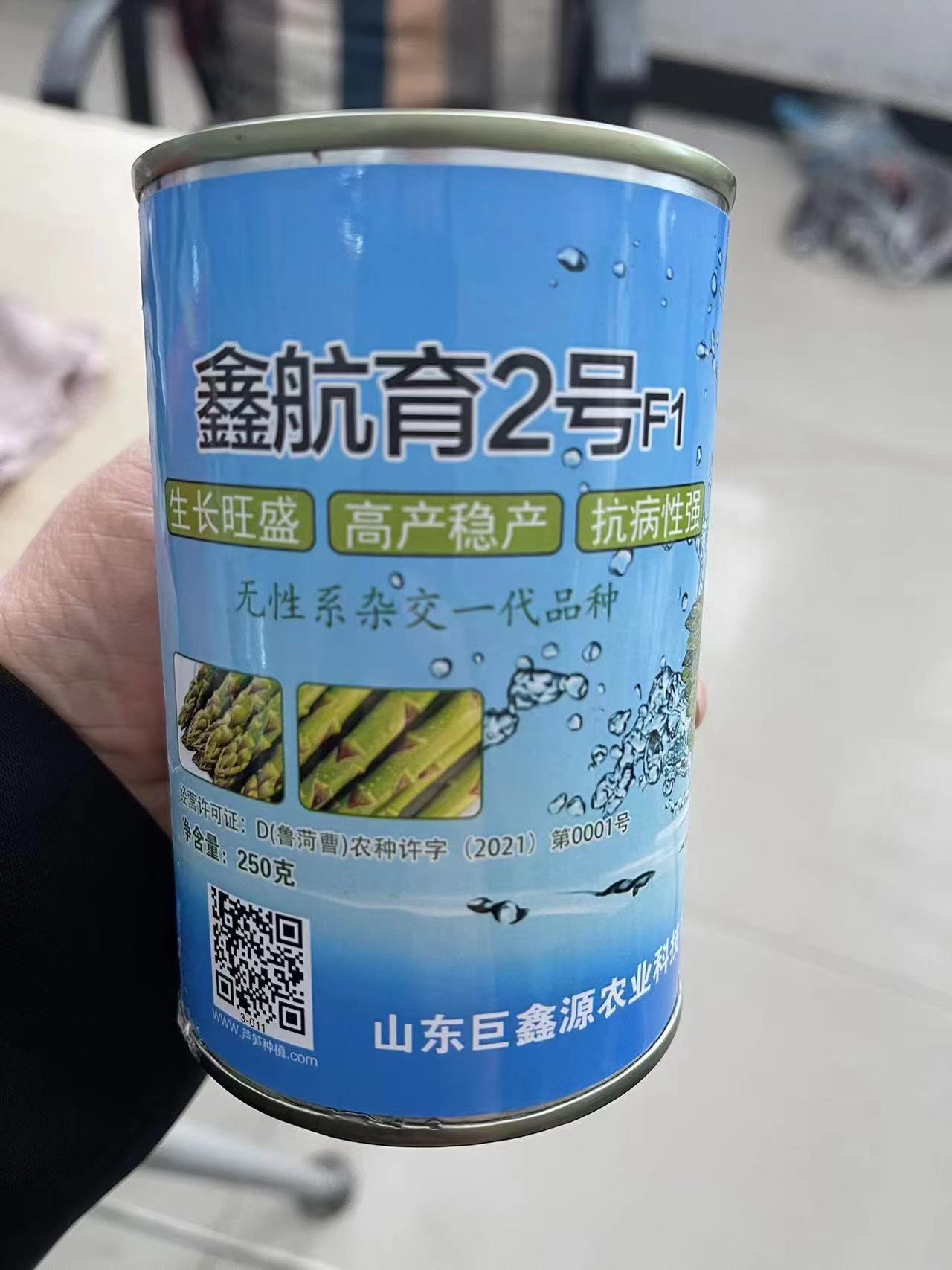 淮北批发杂交一代鑫航育2号芦笋种子芦笋种苗  芦笋种子厂家