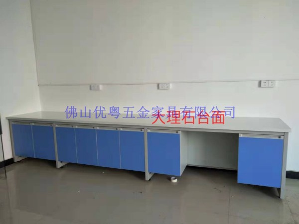 肇庆钢木实验台不锈钢通风柜实验室家具生产