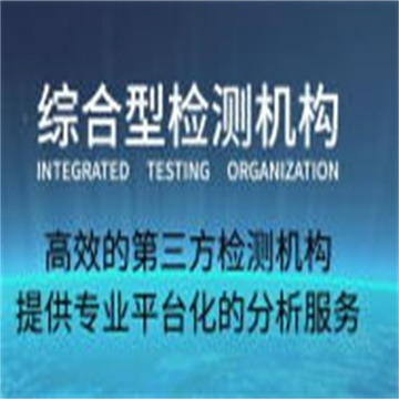 汽车零部件GB/T28046.2-2019电性能检测报告  电气特性试验  绝缘耐压试验