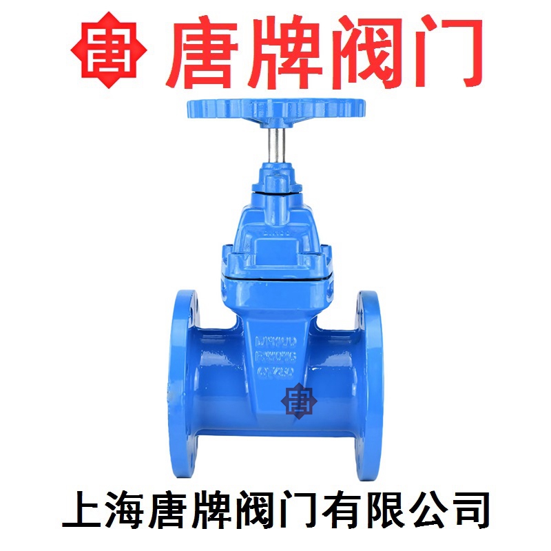铸铁暗杆软密封弹性座封闸阀 Z45X 报价型号图片技术  铸铁闸阀  暗杆闸阀