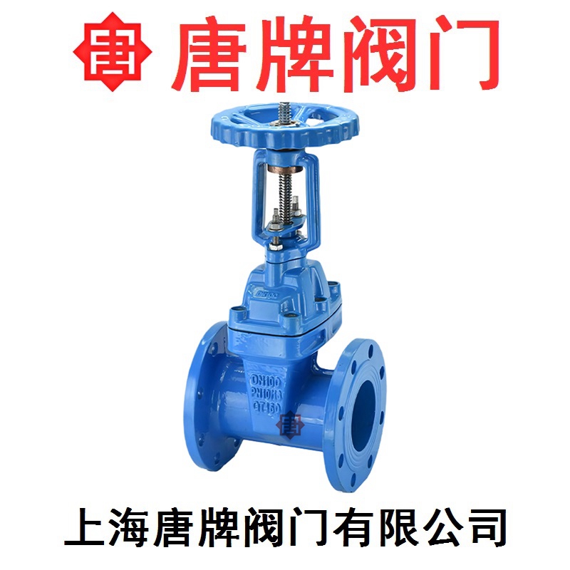 铸铁明杆弹性座封软密封闸阀 Z41X 报价型号图片技术  铸铁闸阀  明杆闸阀