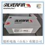 SILVERFIR银杉蓄电池12VEG200太阳能直流屏用1