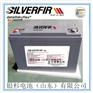 SILVERFIR银杉蓄电池12VEL80机房UPS直流屏用