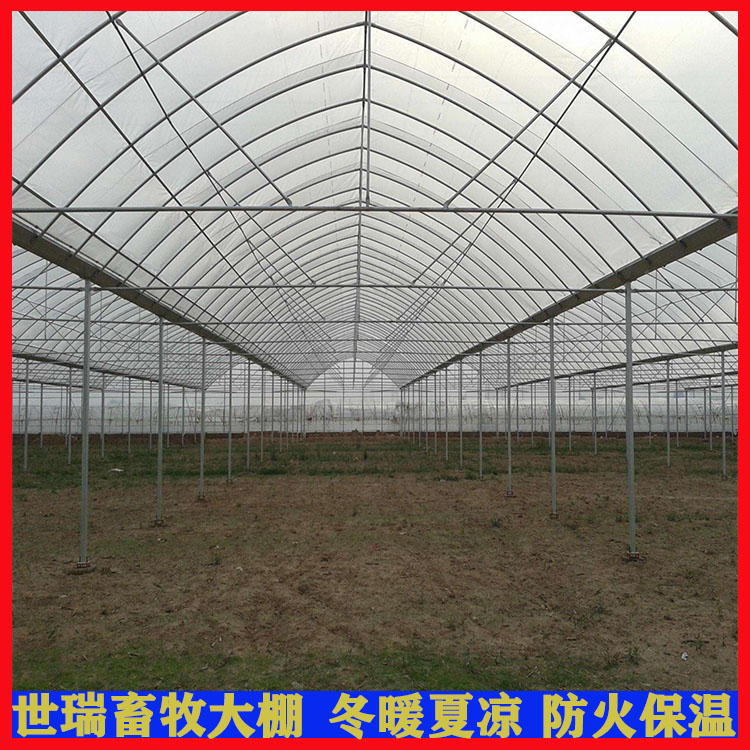 种植大棚安装 西瓜大棚建设 蔬菜水果种植棚加工搭建