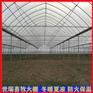 种植大棚安装 西瓜大棚建设 蔬菜水果种植棚加工搭建