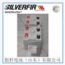 SILVERFIR银杉蓄电池8OPzV800风能发电厂储能用