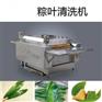 糯米粽加工设备大粽叶双层毛辊清洗机芦苇叶自动洗叶机