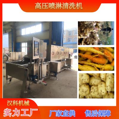 净菜加工流水线 大姜去泥沙清洗机 花生大豆清洗机