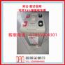 银杉silverfir蓄电池12VEL500德国直流屏UPS