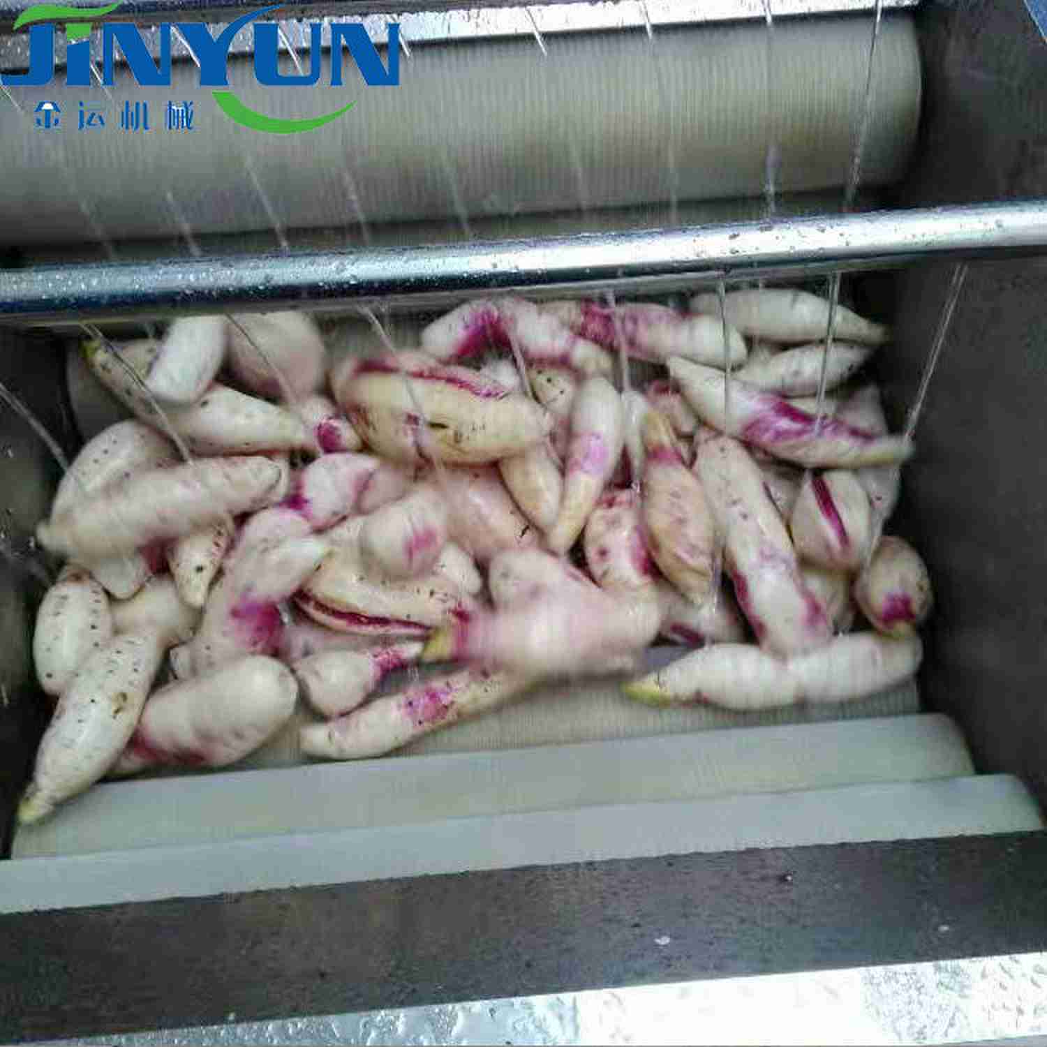 清洗去皮机 商用毛刷去皮机  萝卜去泥清洗机  海产品清洗机  土豆去皮机