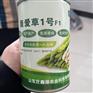 晋城芦笋基地供应康爱草1号杂交一代芦笋种子芦笋种苗