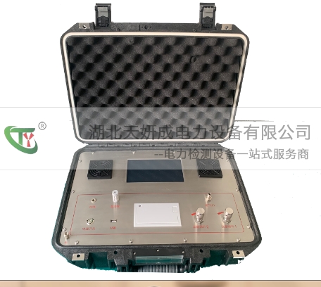 TYZH SF6气体综合检测仪