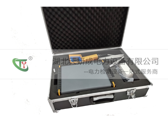 TYJT SF6气体定量检漏仪