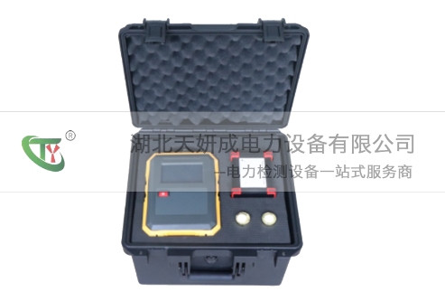 TYWSS SF6手持式微水测量仪