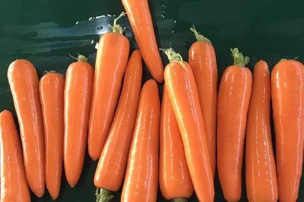 胡萝卜出口清关商检，胡萝卜出口清关流程