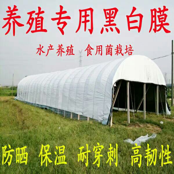 黑白养殖专用膜  温室大棚膜  镜面温室膜  长寿无滴膜