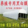 黑白养殖专用膜