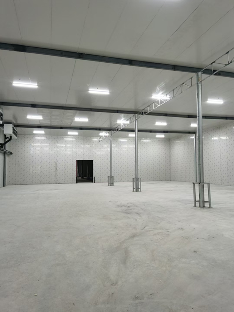 汕头肉类蔬菜冷库建造安装厂家林特制冷设备