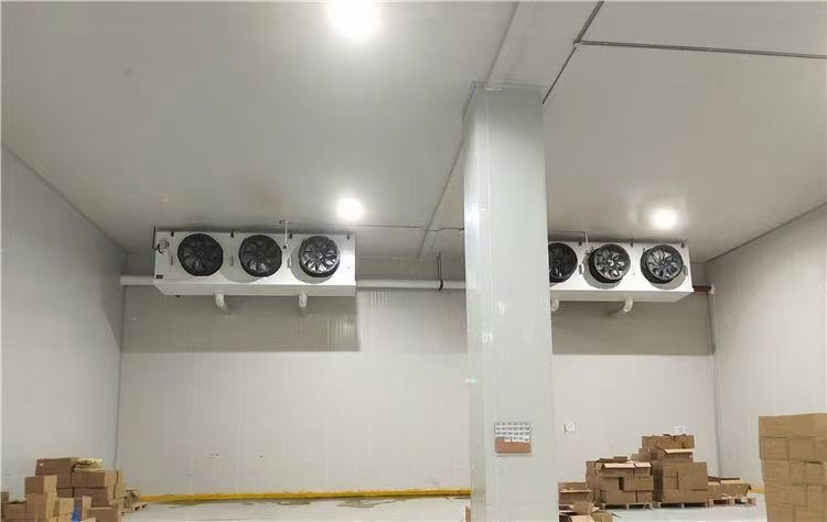 汕头市冷库建造大小果蔬茶叶鲜花保鲜定制建造林特制冷