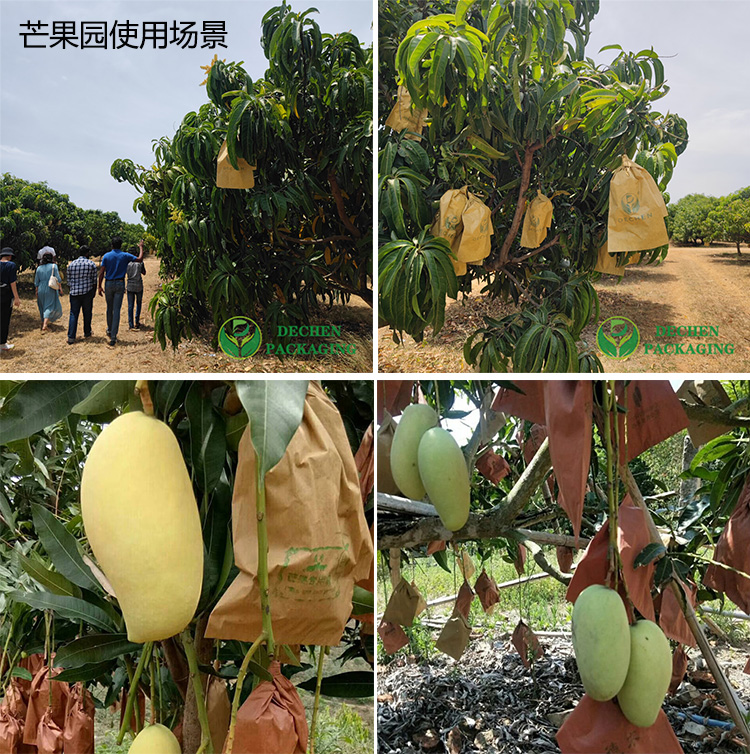 芒果套袋专用袋 芒果套袋厂家供应 芒果套袋批发