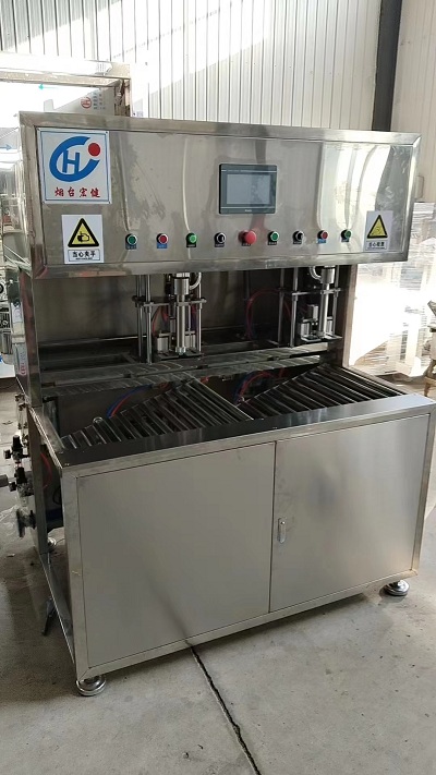 双头食用油软包装灌装机  大袋油灌装机  盒中袋灌装机