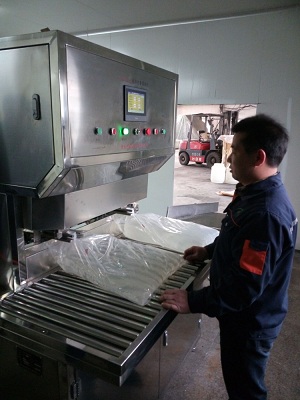 双头食用油软包装灌装机  大袋油灌装机  盒中袋灌装机
