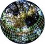 HemiView数字植物冠层分析系统