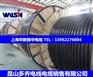 华新丽华BVVB扁平电缆 华新丽华BVVB护套电缆线